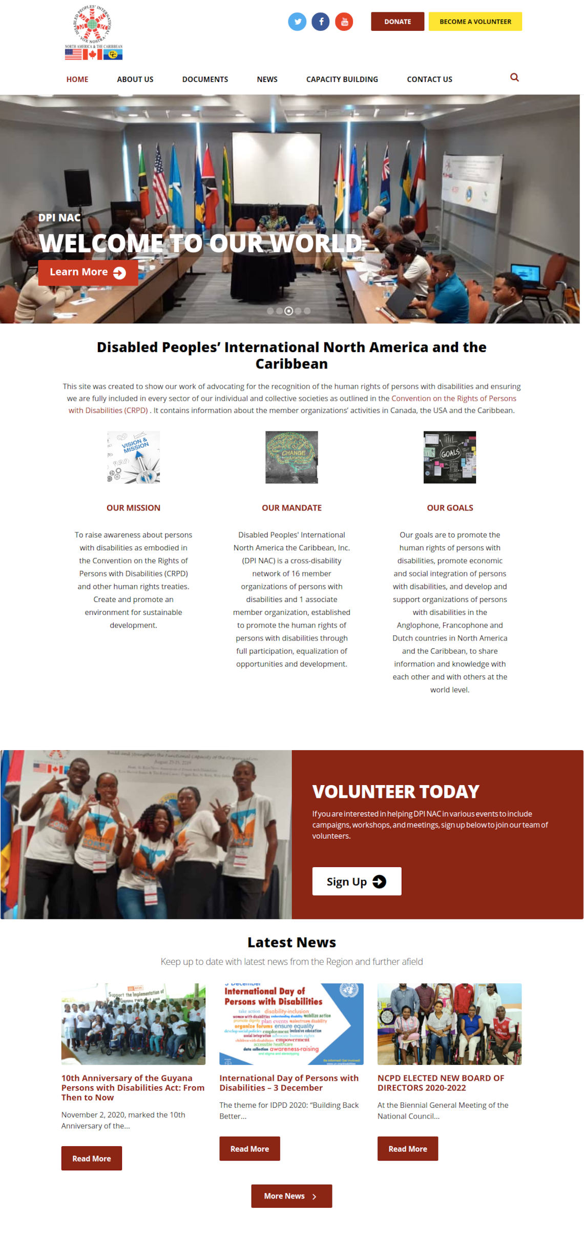 Disabled People's International North America and the Caribbean website by Anchor Monkey