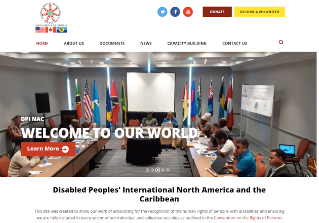 Disabled People's International North America and the Caribbean website by Anchor Monkey