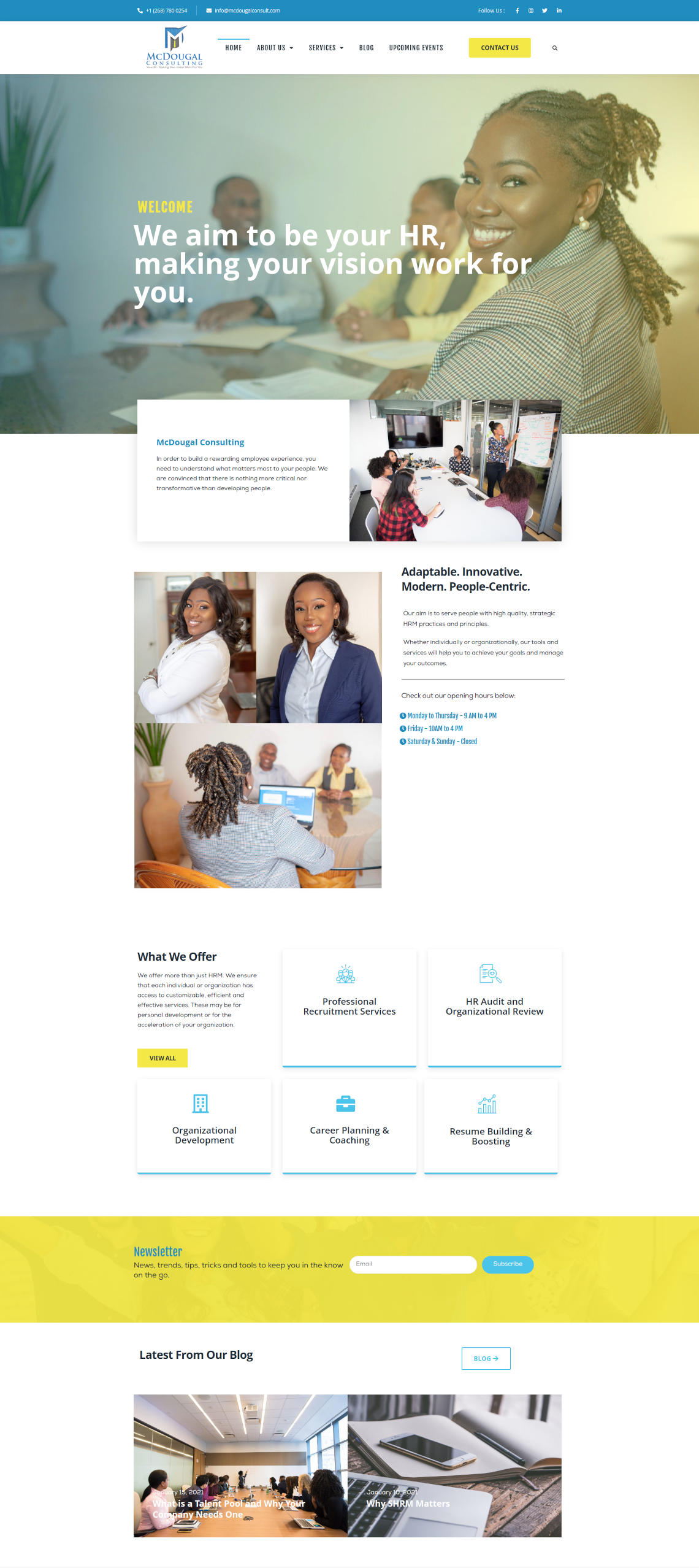 McDougal Consulting website by Anchor Monkey